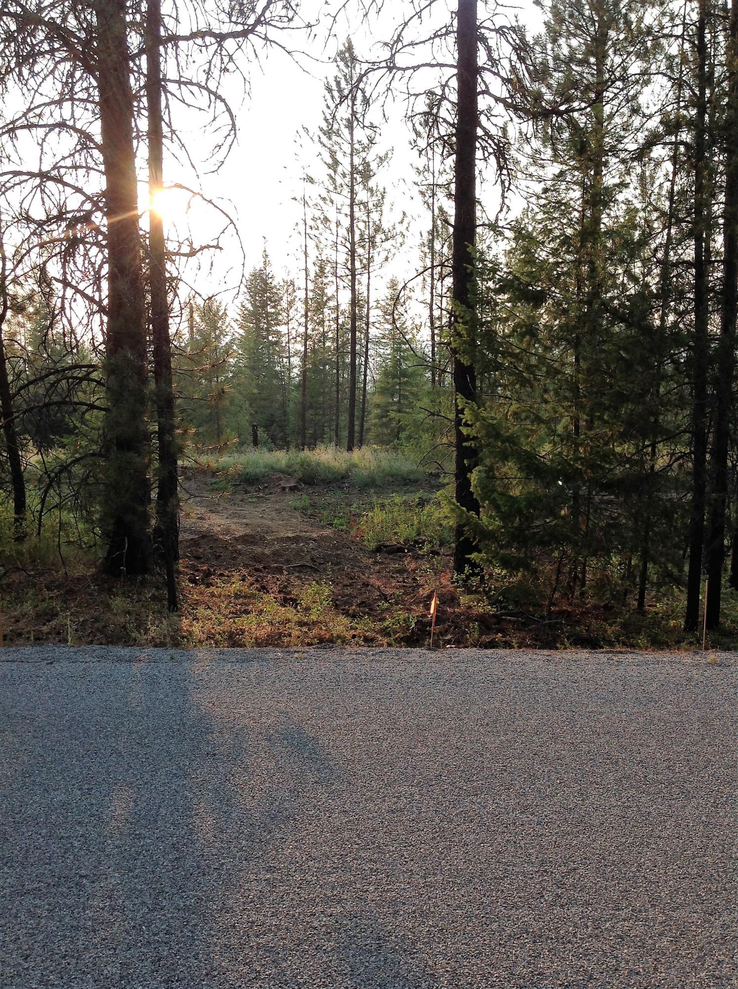Common Driveway