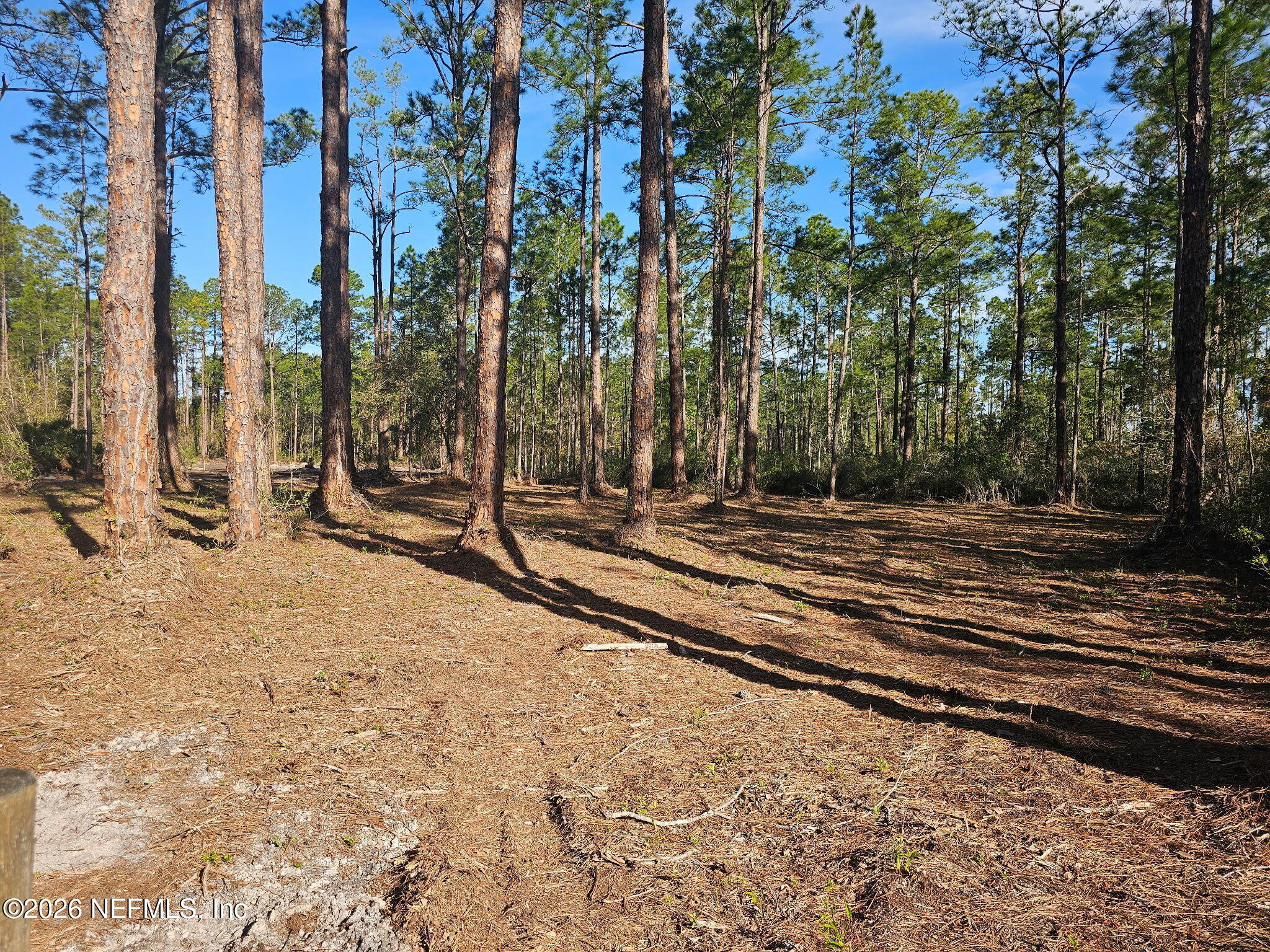 211 Georgetown Denver Road Georgetown, FL 32139 - Photo 2 of 12 Carteret cleared lot