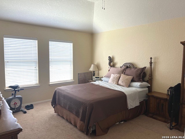 369 Prickly Pear Drive Cibolo, TX 78108 - Photo 13 of 21