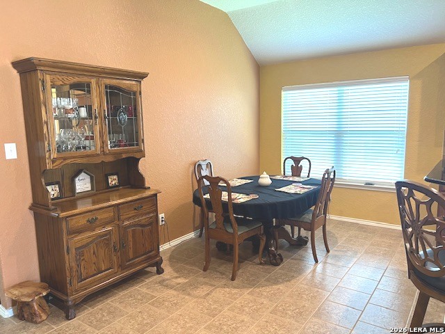 369 Prickly Pear Drive Cibolo, TX 78108 - Photo 9 of 21