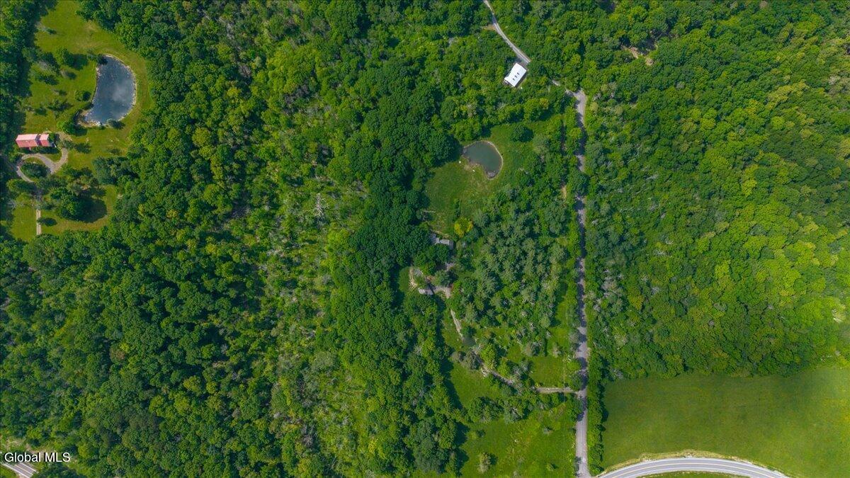9 Gibson Road Westerlo, NY 12193 - Photo 51 of 56 54-gibson-13