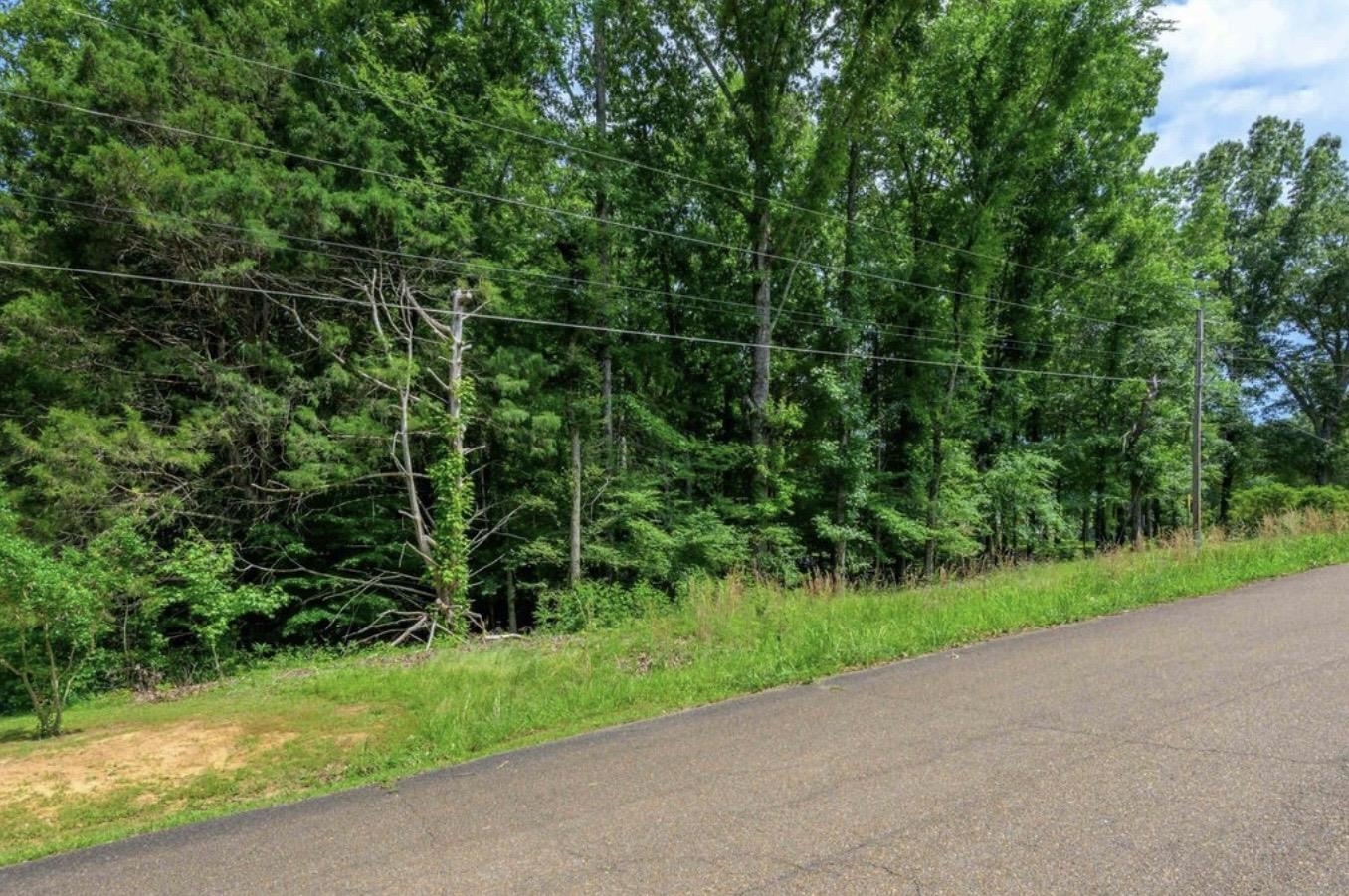 1 Beech Loop Somerville, TN 38068 - Photo 2 of 9