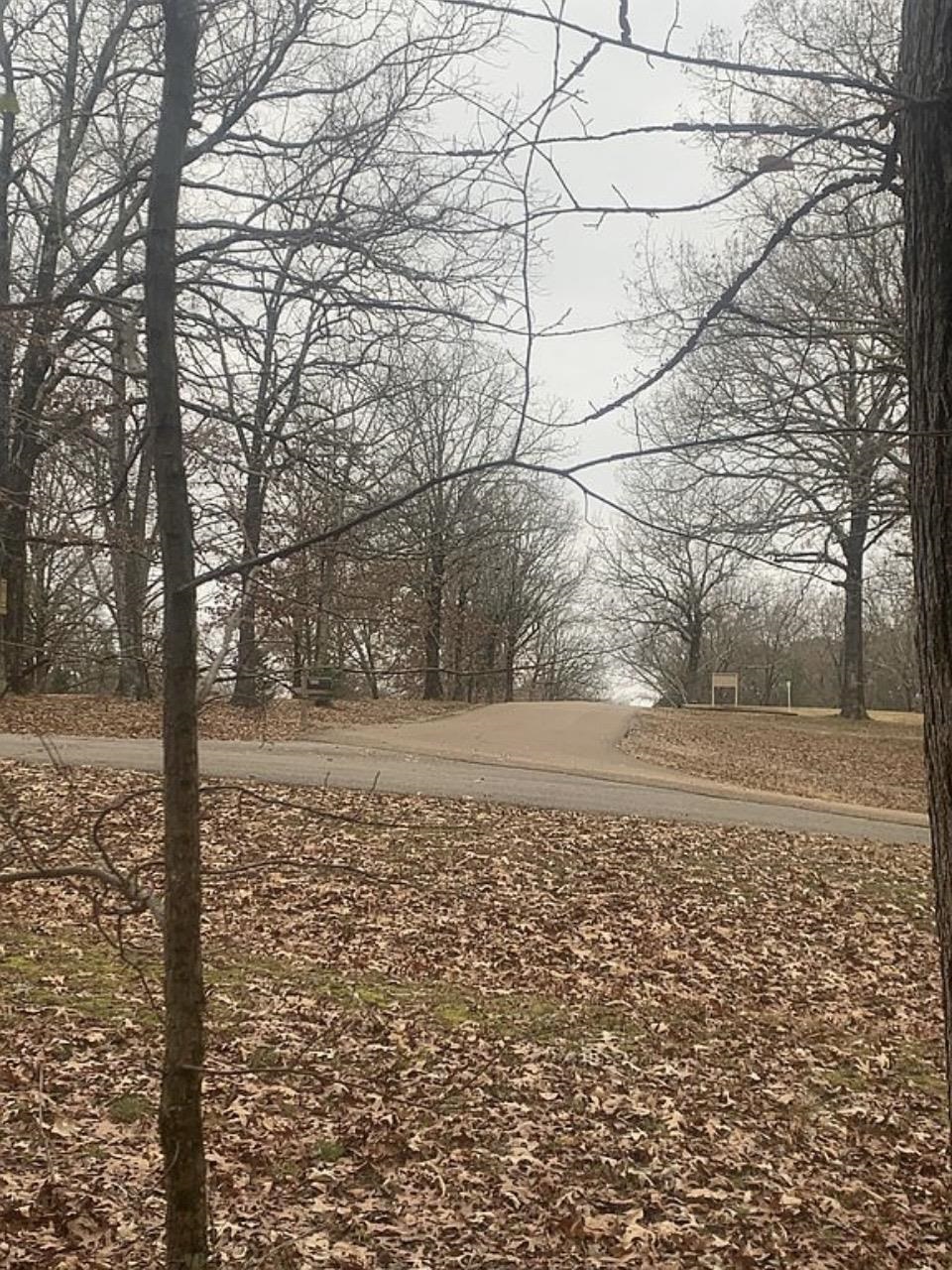1 Beech Loop Somerville, TN 38068 - Photo 8 of 9 a view of yard covered with snow