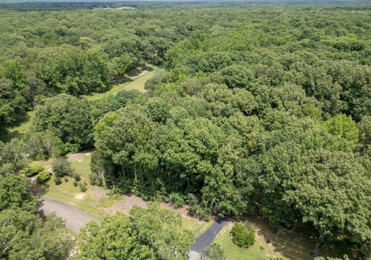 1 Beech Loop Somerville, TN 38068 - Photo 9 of 9 a view of a yard with plants and large trees