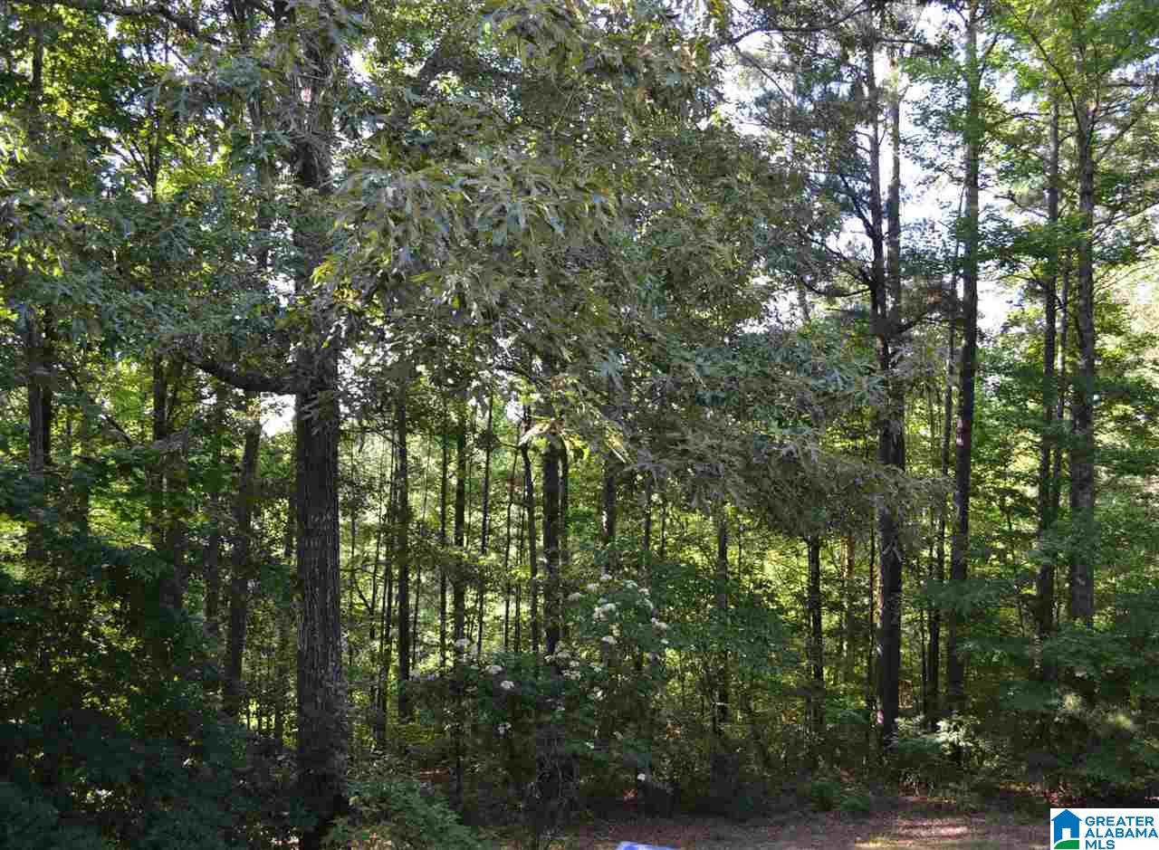 7847 Brookwood Road Pinson, AL 35126 - Photo 47 of 50