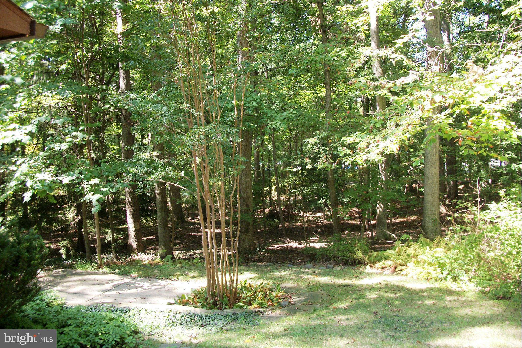 2404 Paddock Lane Reston, VA 20191 - Photo 25 of 30 Treed lot