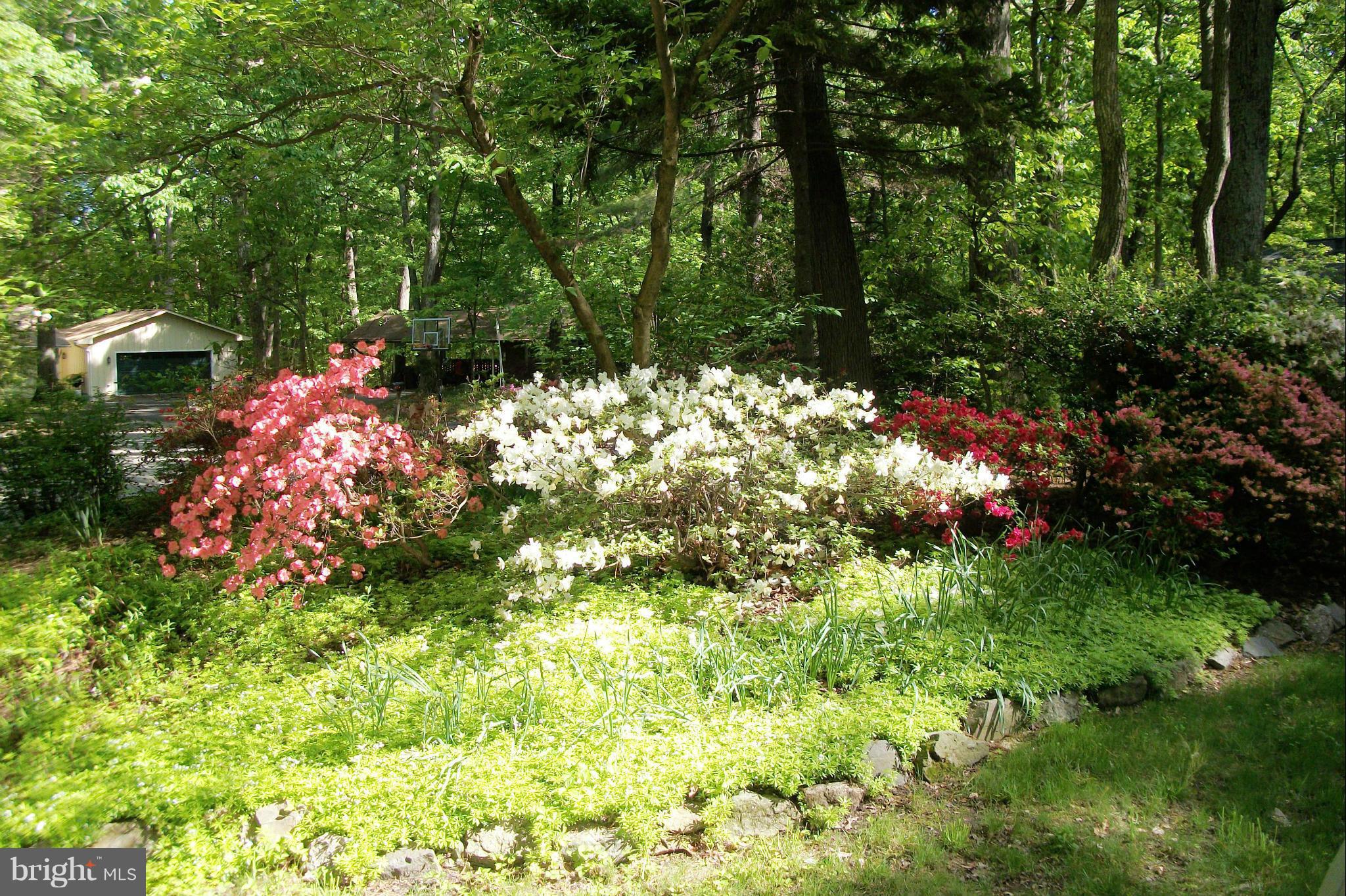 2404 Paddock Lane Reston, VA 20191 - Photo 26 of 30 Landscaping