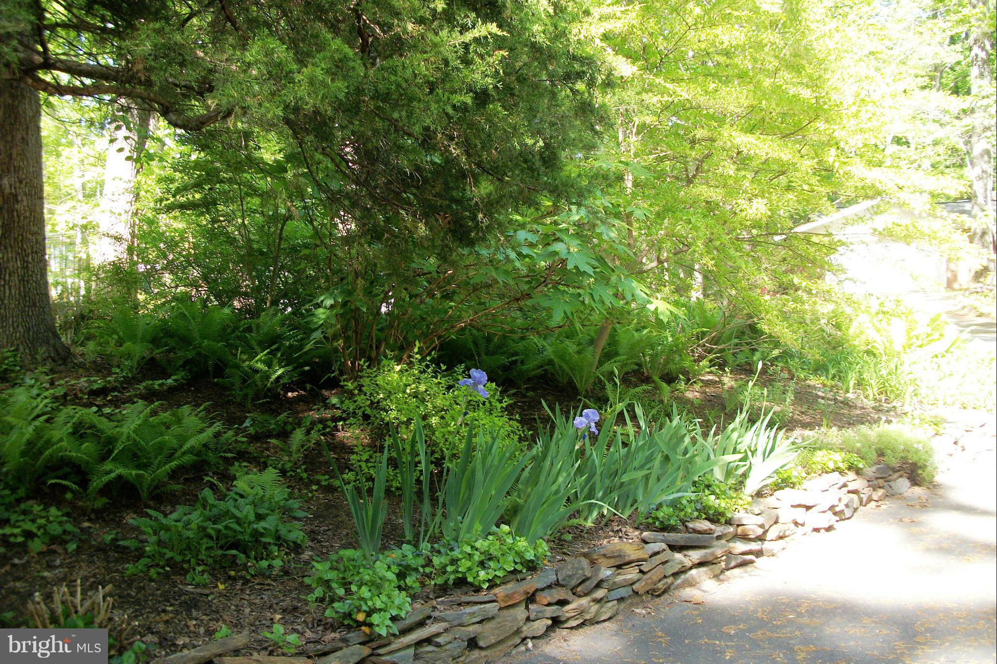 2404 Paddock Lane Reston, VA 20191 - Photo 27 of 30 Landscaping