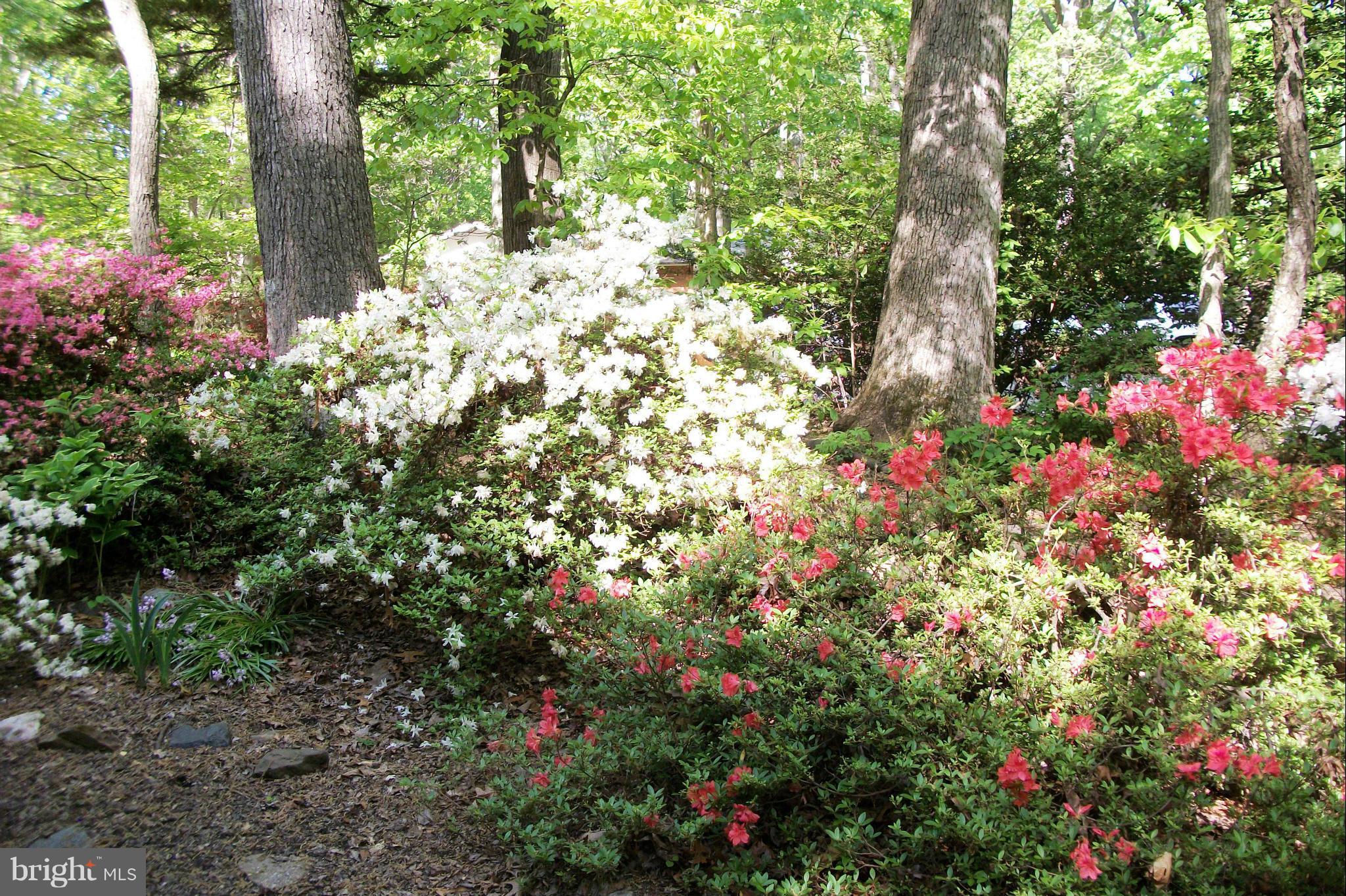 2404 Paddock Lane Reston, VA 20191 - Photo 28 of 30 Landscaping