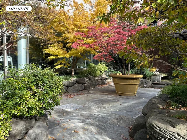 a view of a backyard with garden