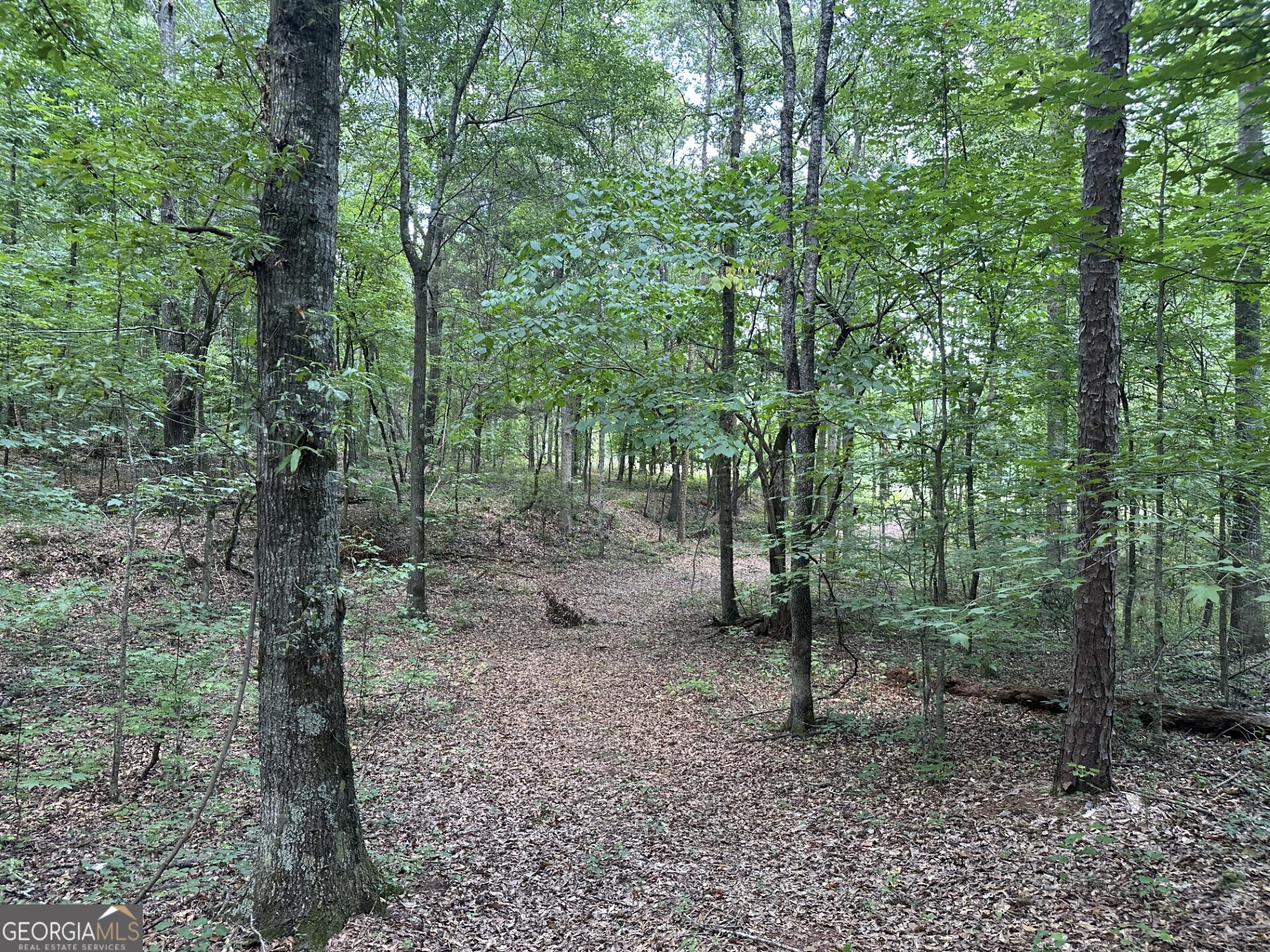 2200 Duffell Martin Road Comer, GA 30629 - Photo 4 of 21