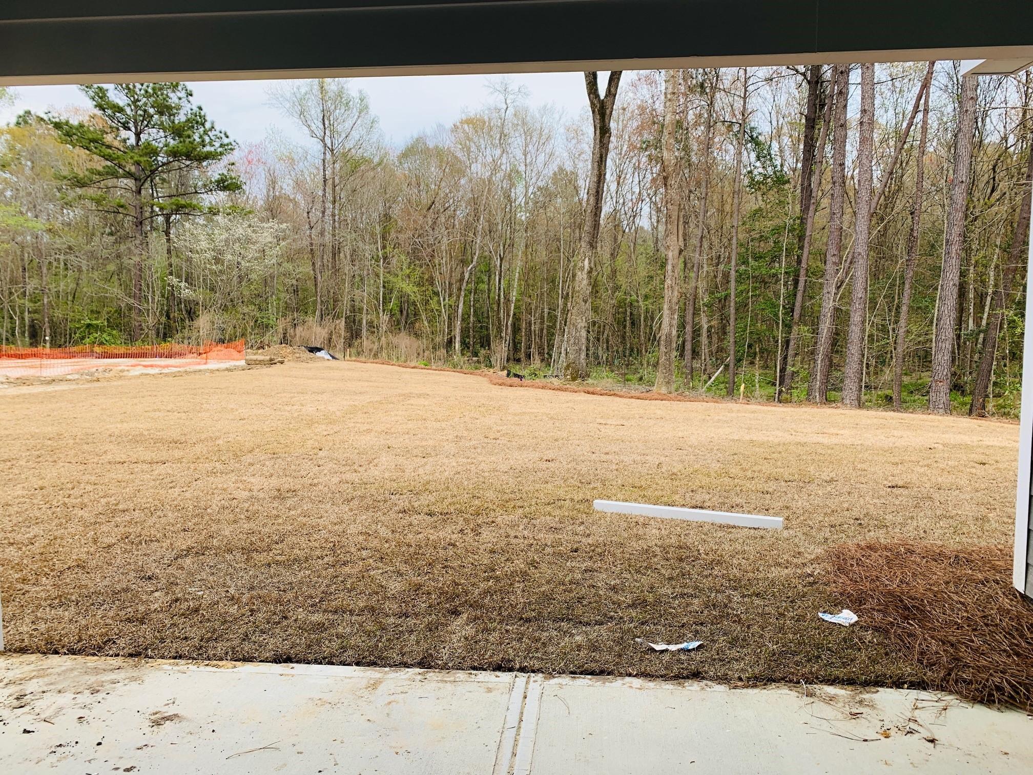 257 Camber Road Huger, SC 29450 - Photo 5 of 35 Lot 17 Rear yard