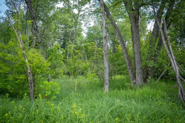 $70,000 | 5304 North Peacock Trail, Irons, MI 49644