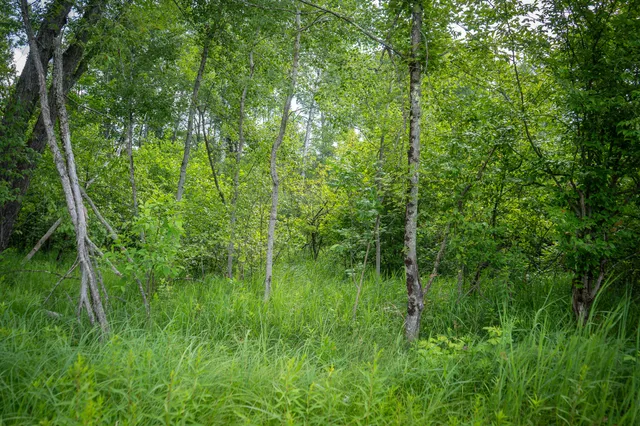 $70,000 | 5304 North Peacock Trail, Irons, MI 49644