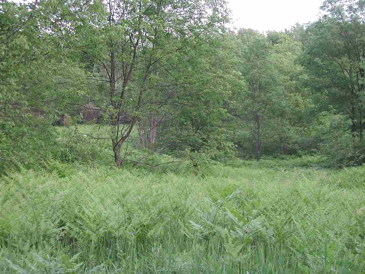 7033 West Phelps Road Manton, MI 49663 - Photo 58 of 63 1812764-60.JPG