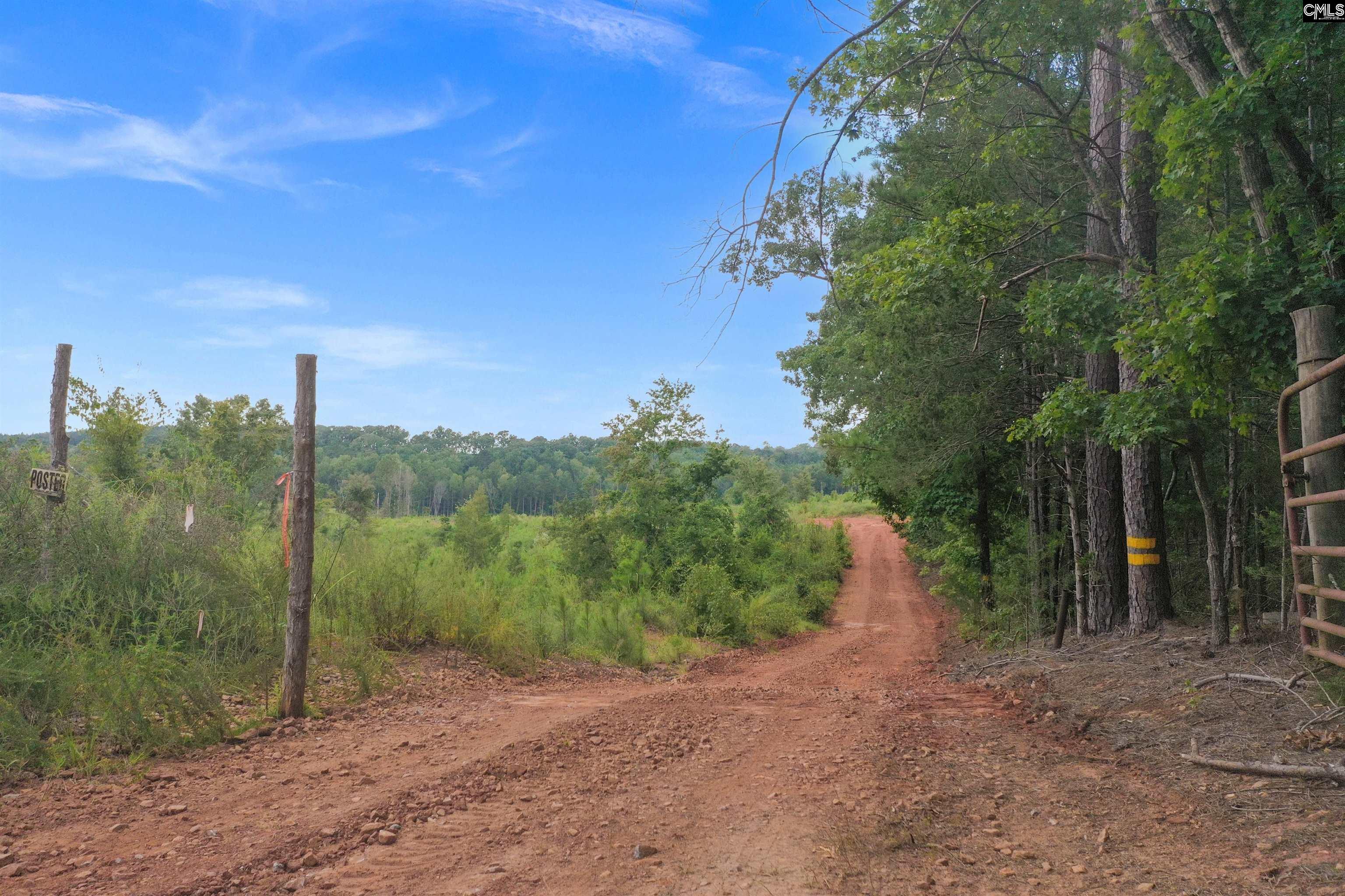 0 Penner Road, Unit 7 Jenkinsville, SC 29065 - Photo 9 of 36