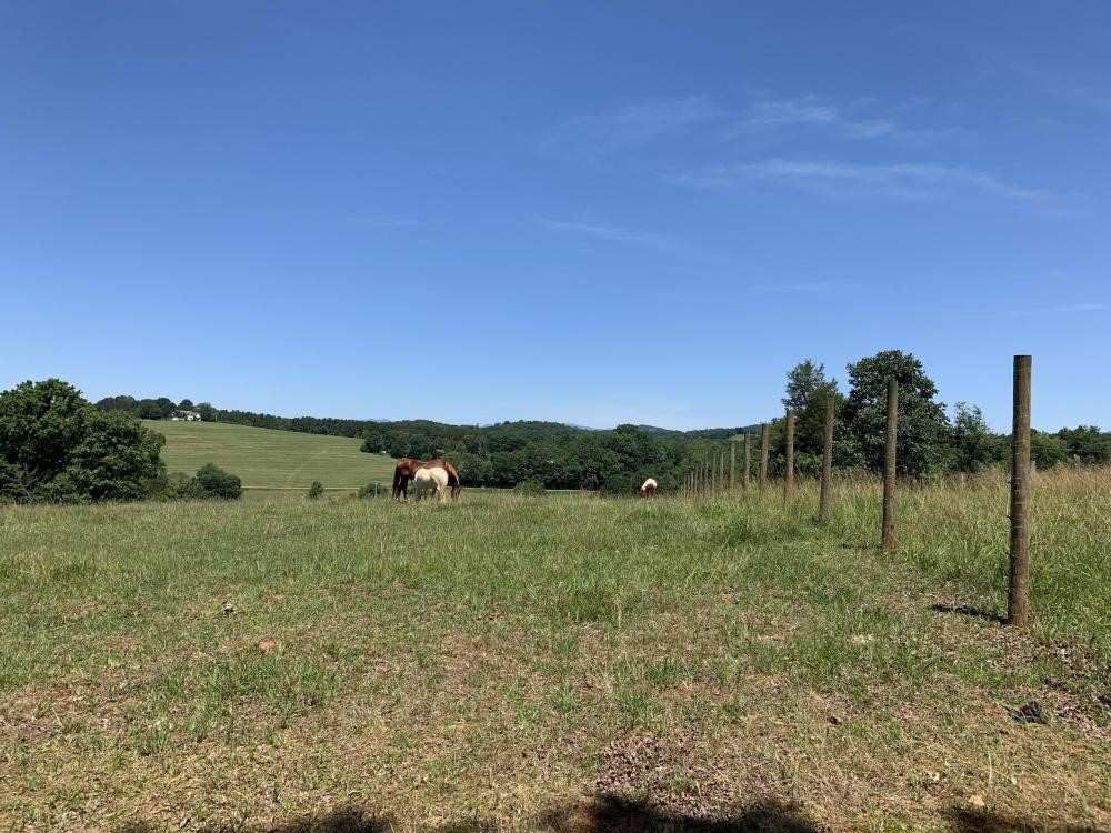 0 Concord Church Road Pickens, SC 29671 - Photo 3 of 17