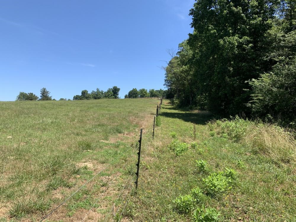 0 Concord Church Road Pickens, SC 29671 - Photo 10 of 17