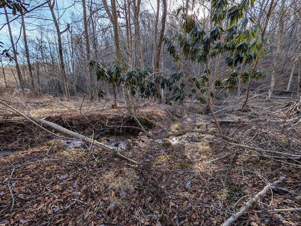 Tbd Hunters Path, Unit 9 Fancy Gap, VA 24328 - Photo 12 of 19 Gallery Image 12