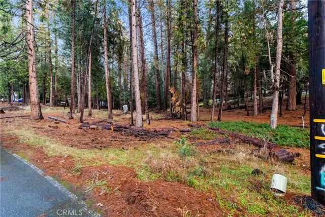 a view of a park with tree s