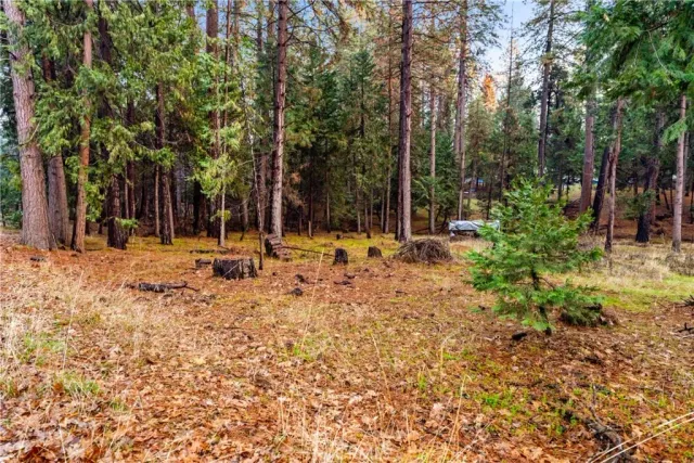 a backyard of a house with lots of green space