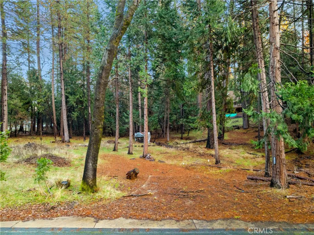 1 Old Madrone Road Pioneer, CA 95666 - Photo 12 of 16 a view of a park with a slide