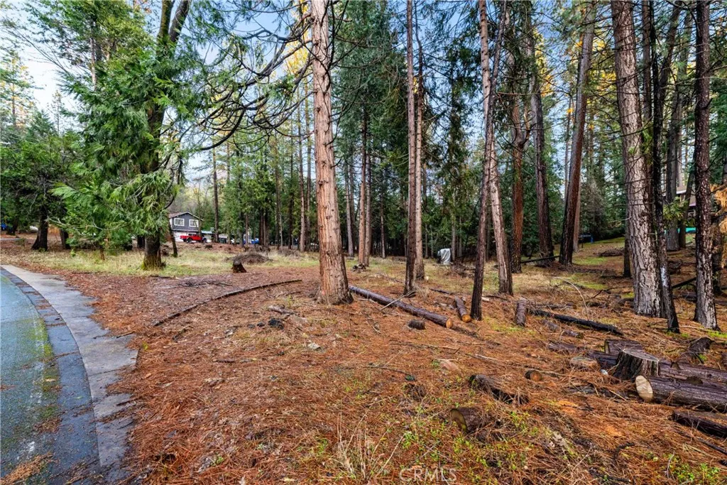 1 Old Madrone Road Pioneer, CA 95666 - Photo 6 of 16 a view of a park with large trees