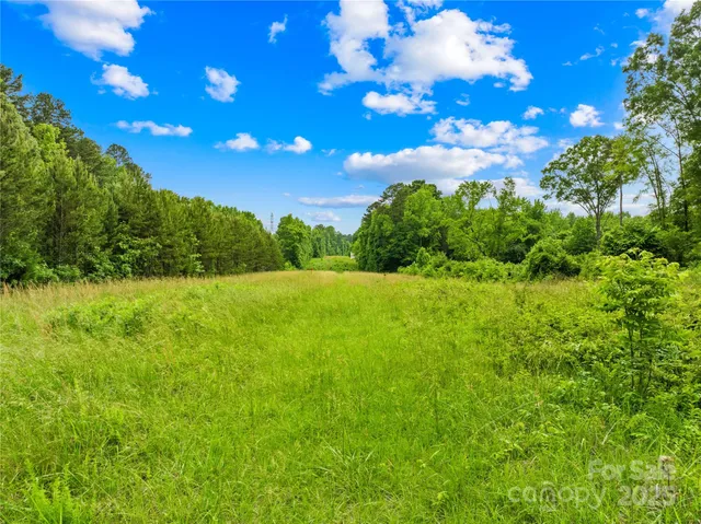 a view of a yard with an tree