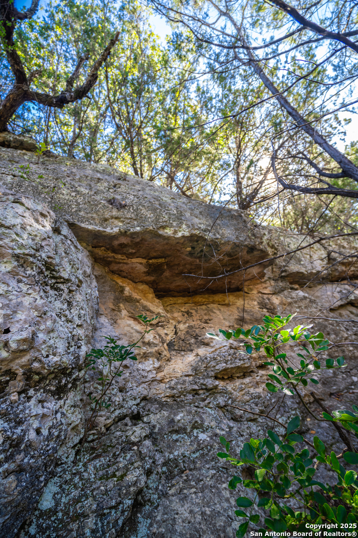 83 Leakey Tx 78873 Leakey, TX 78873 - Photo 18 of 38 a view of a yard with lots of bushes