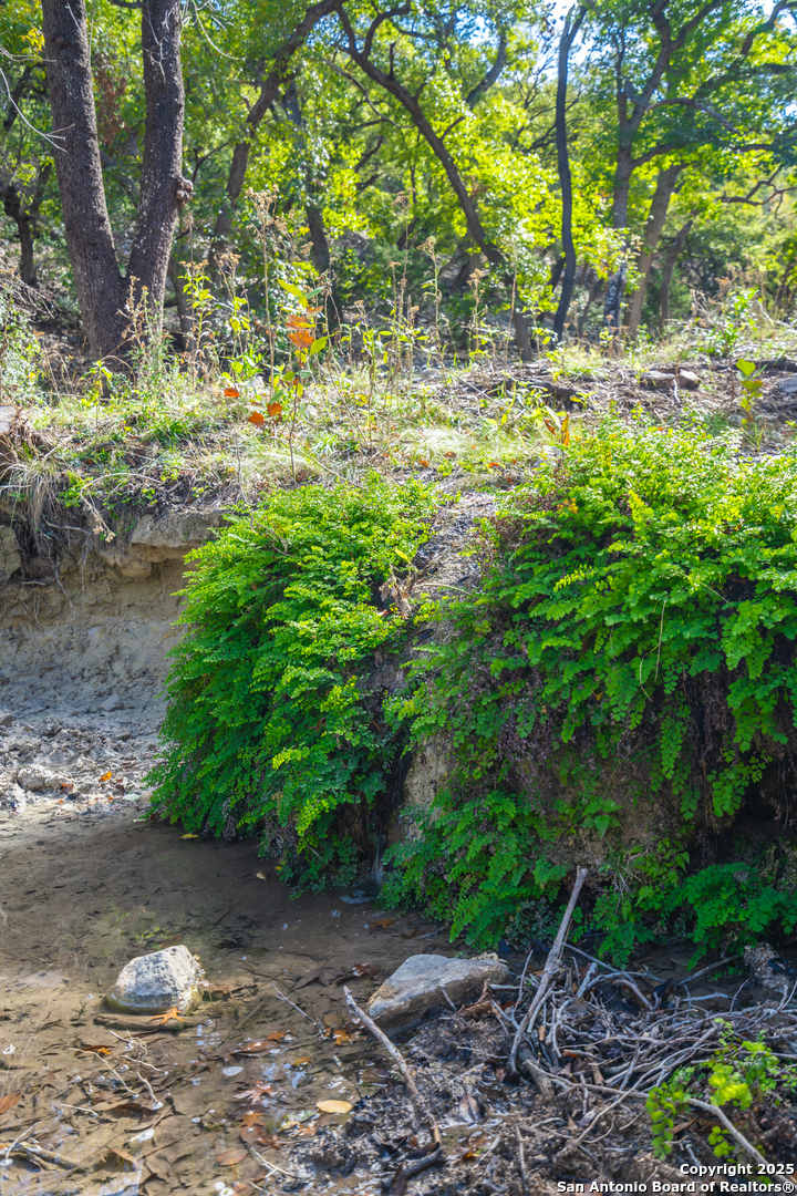 83 Leakey Tx 78873 Leakey, TX 78873 - Photo 4 of 38 a backyard of a house with lots of green space