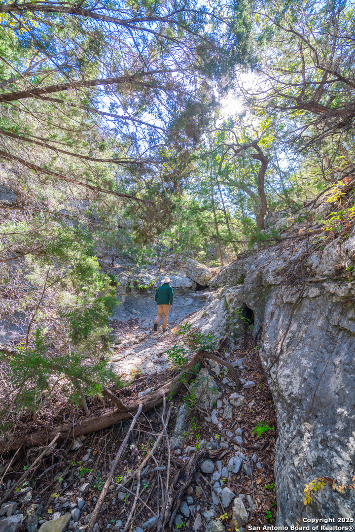 83 Leakey Tx 78873 Leakey, TX 78873 - Photo 10 of 38 a backyard of a house