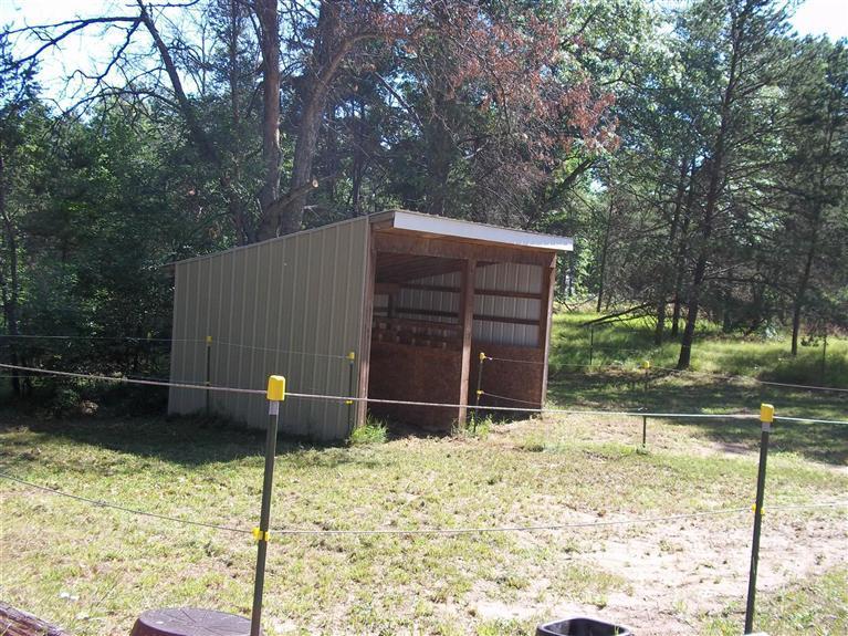 8265 North James Road Irons, MI 49644 - Photo 3 of 11 Additional Photo