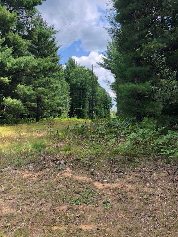 4830 Lund Road Southwest Fife Lake, MI 49633 - Photo 78 of 84 1850807-77.JPG