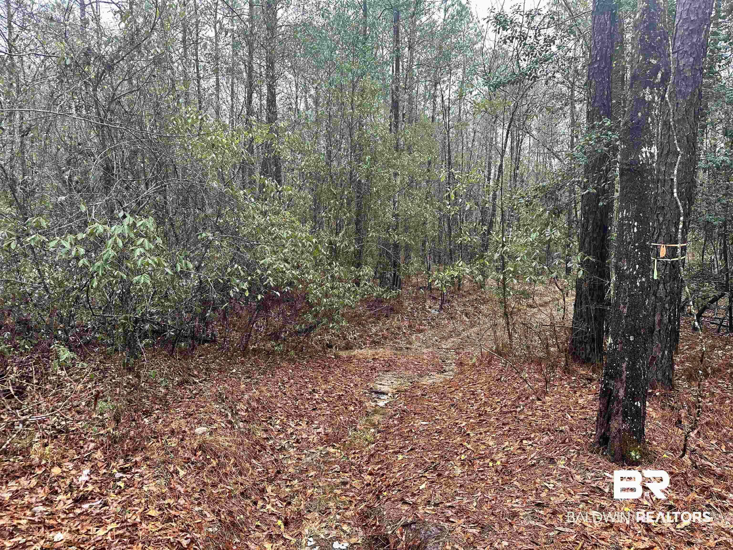 4549 J D Howard Road Tibbie, AL 36583 - Photo 24 of 33