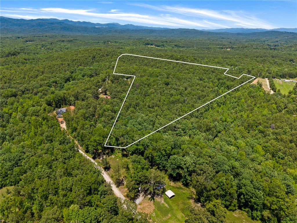 0 Pine Mountain Road Tamassee, SC 29686 - Photo 5 of 15