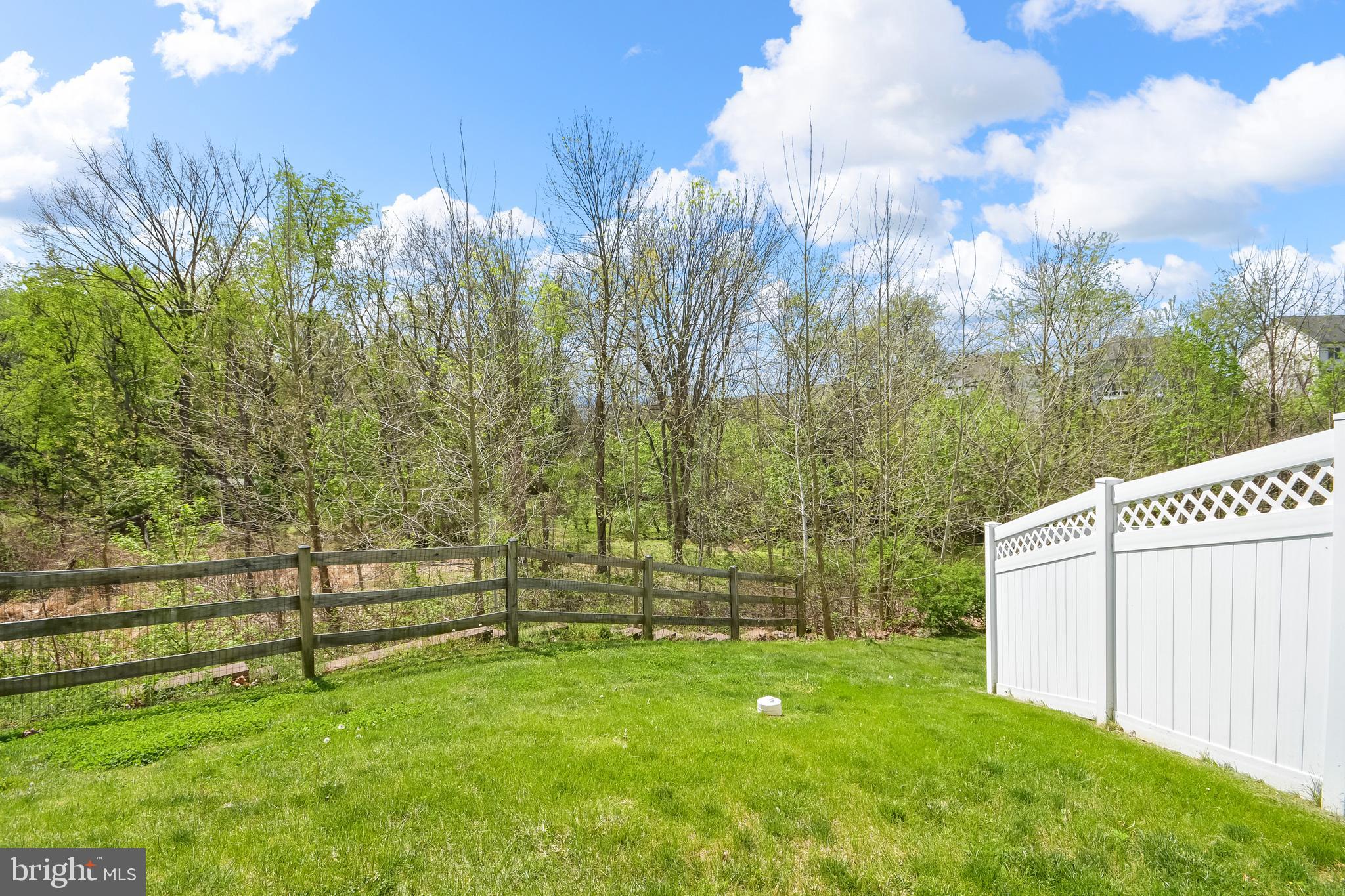 4502 Tinder Monrovia, MD 21770 - Photo 18 of 62 View of rear yard