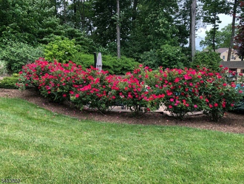 5 Fennimore Court Flanders, NJ 07836 - Photo 45 of 50