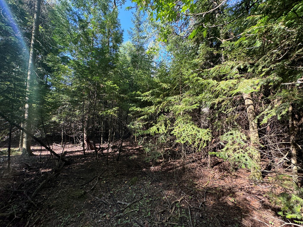 Lot 2 Horseshoe Bay Road Egg Harbor, WI 54209 - Photo 2 of 5