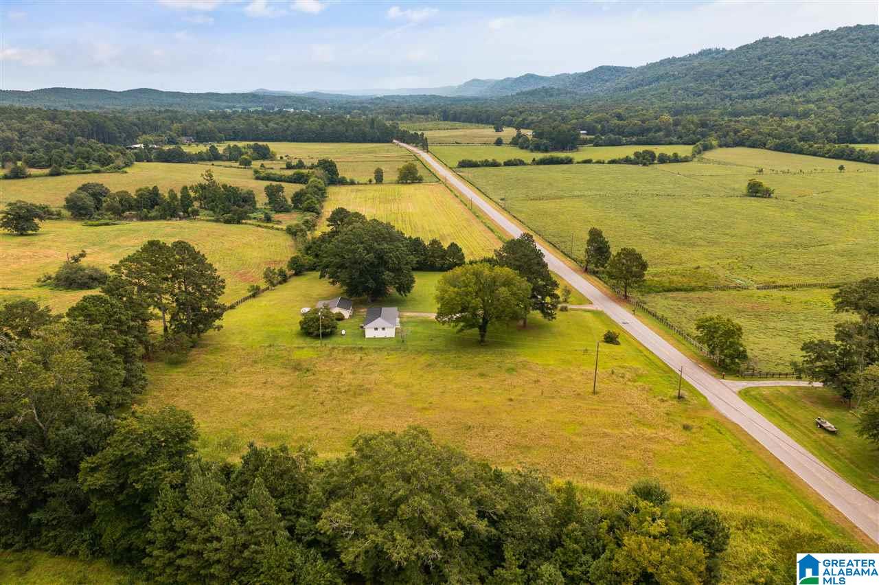 6005 Greensport Road Ashville, AL 35953 - Photo 31 of 36