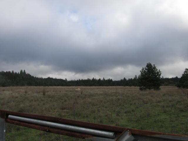 6470 West Side Road Cave Junction, OR 97523 - Photo 7 of 14 Additional Photo