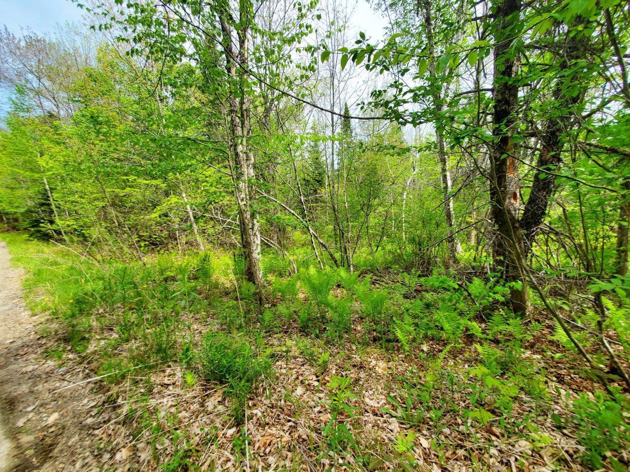Lot 6 Pleasant Pond Road Milo, ME 04463 - Photo 19 of 38 20260523_143922 adj