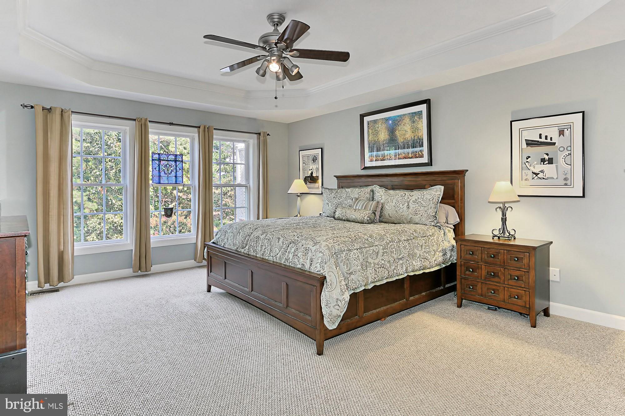 7357 Cluster House Way Gainesville, VA 20155 - Photo 17 of 46 Main Level Owner's Bedroom Suit w/ Tray Ceiling
