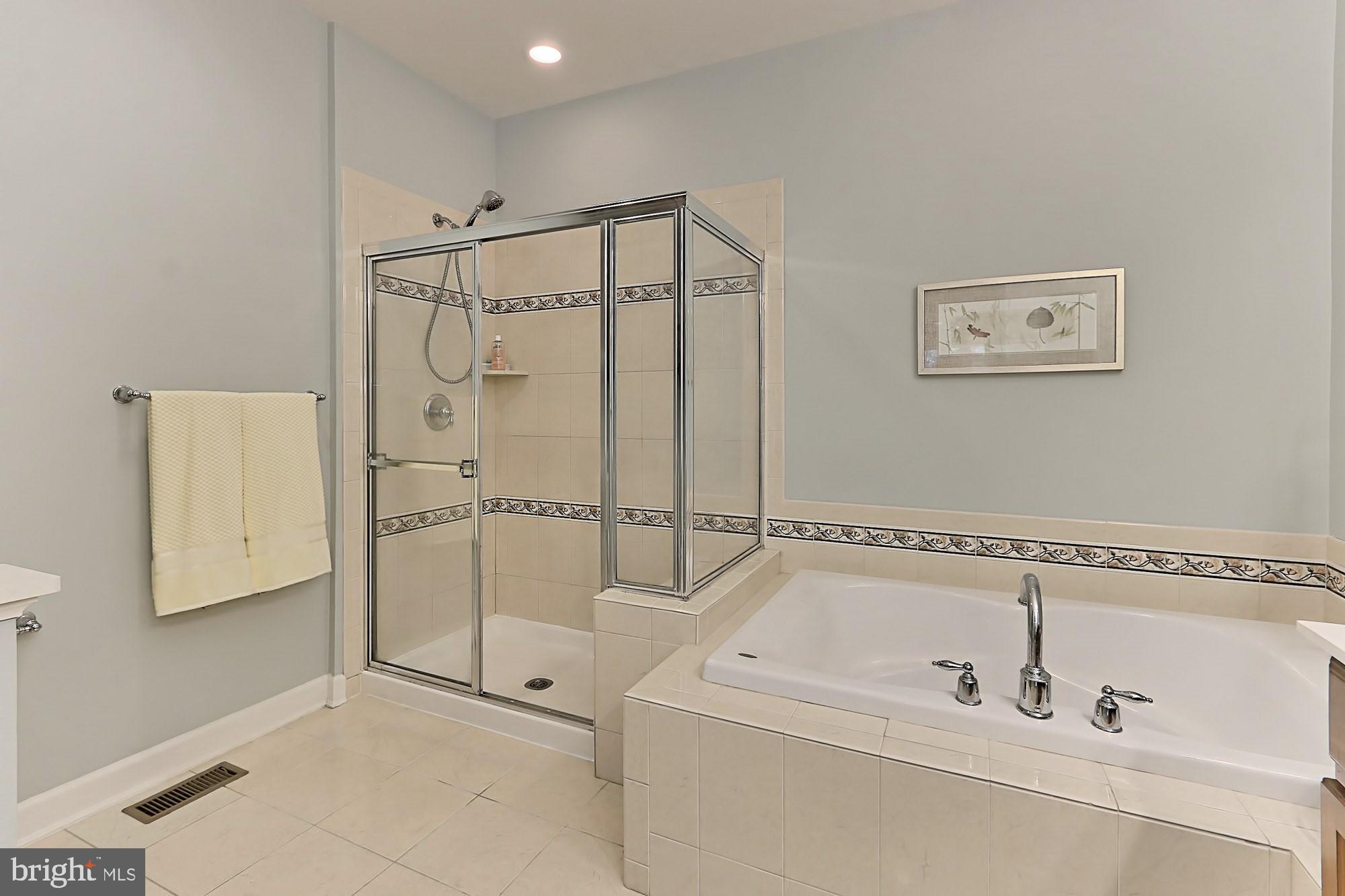 7357 Cluster House Way Gainesville, VA 20155 - Photo 20 of 46 Upgraded tile, glass enclosed shower and Jacuzzi
