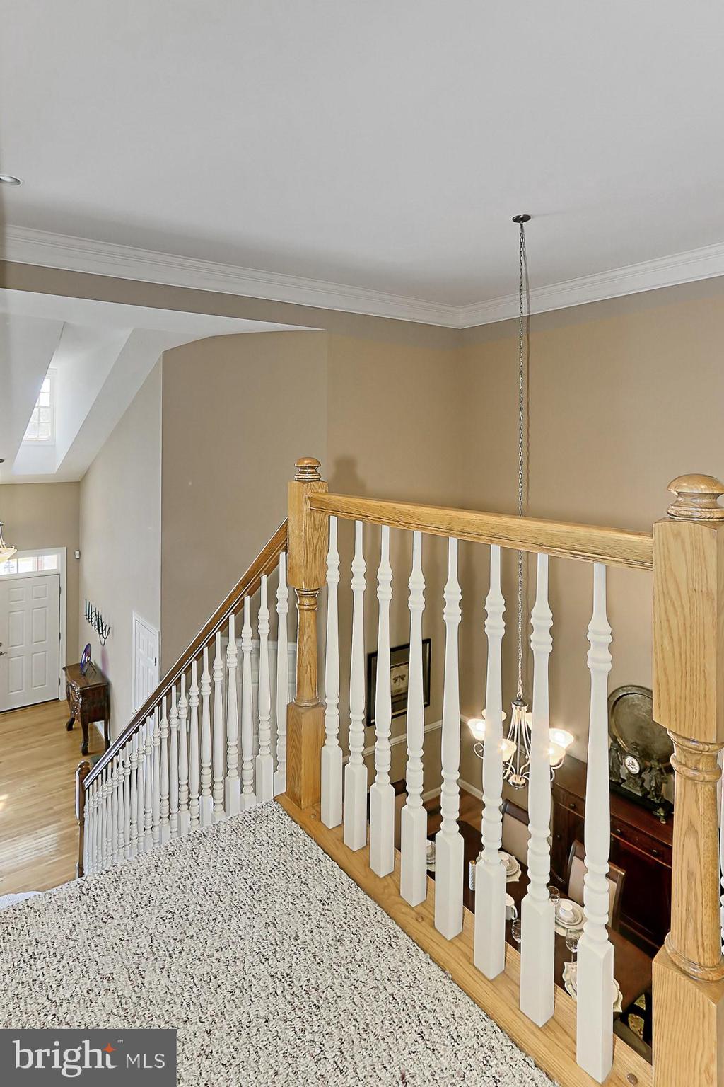 7357 Cluster House Way Gainesville, VA 20155 - Photo 29 of 46 Volume Ceilings create a sense of elegance!