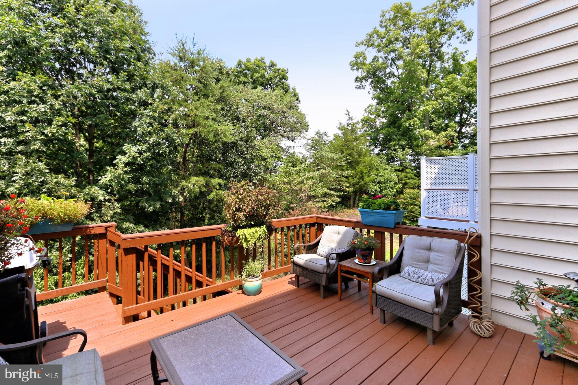 7357 Cluster House Way Gainesville, VA 20155 - Photo 41 of 46 Deck with distinction