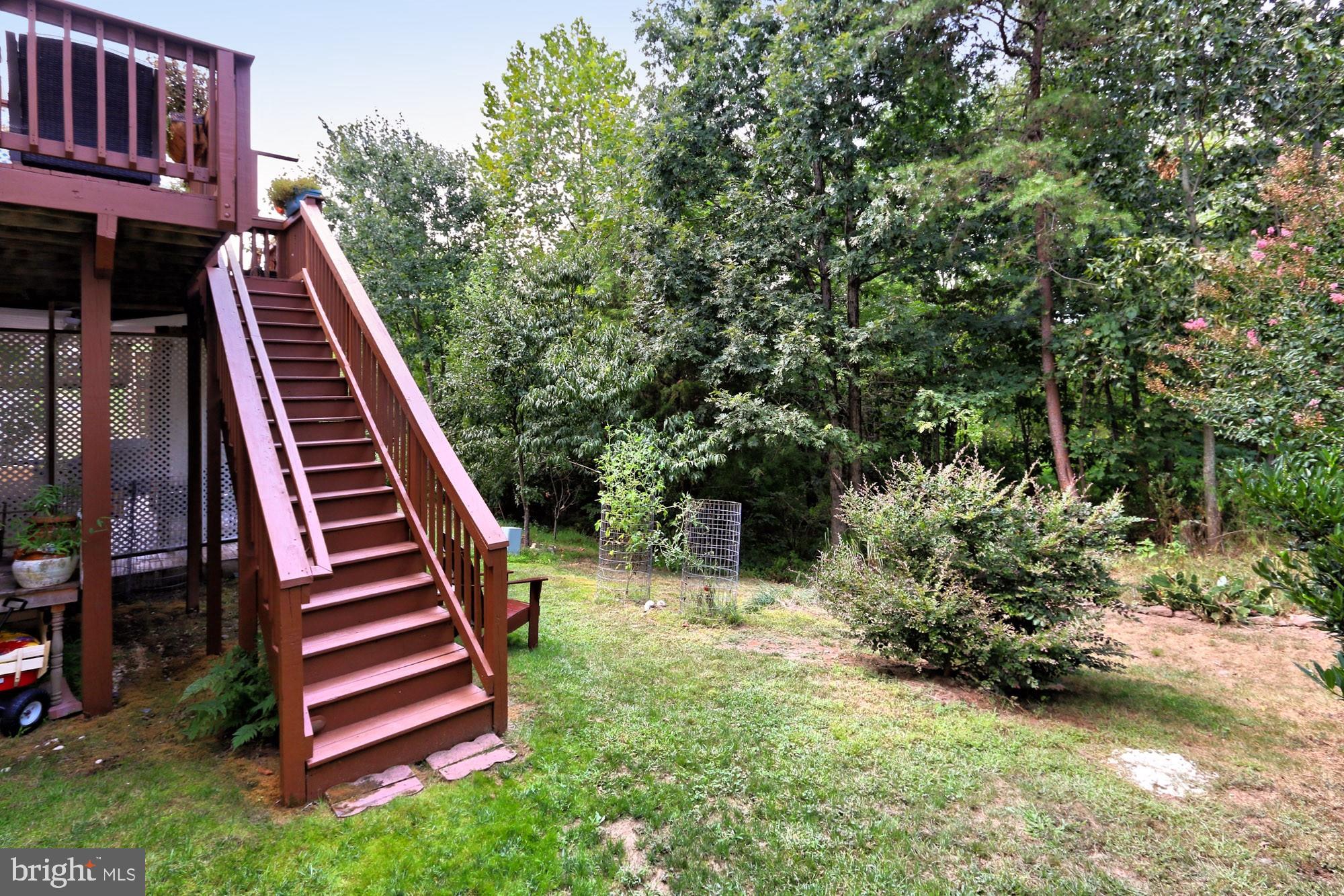 7357 Cluster House Way Gainesville, VA 20155 - Photo 43 of 46 Rare gorgeous premium lot w/ tree preserve view.