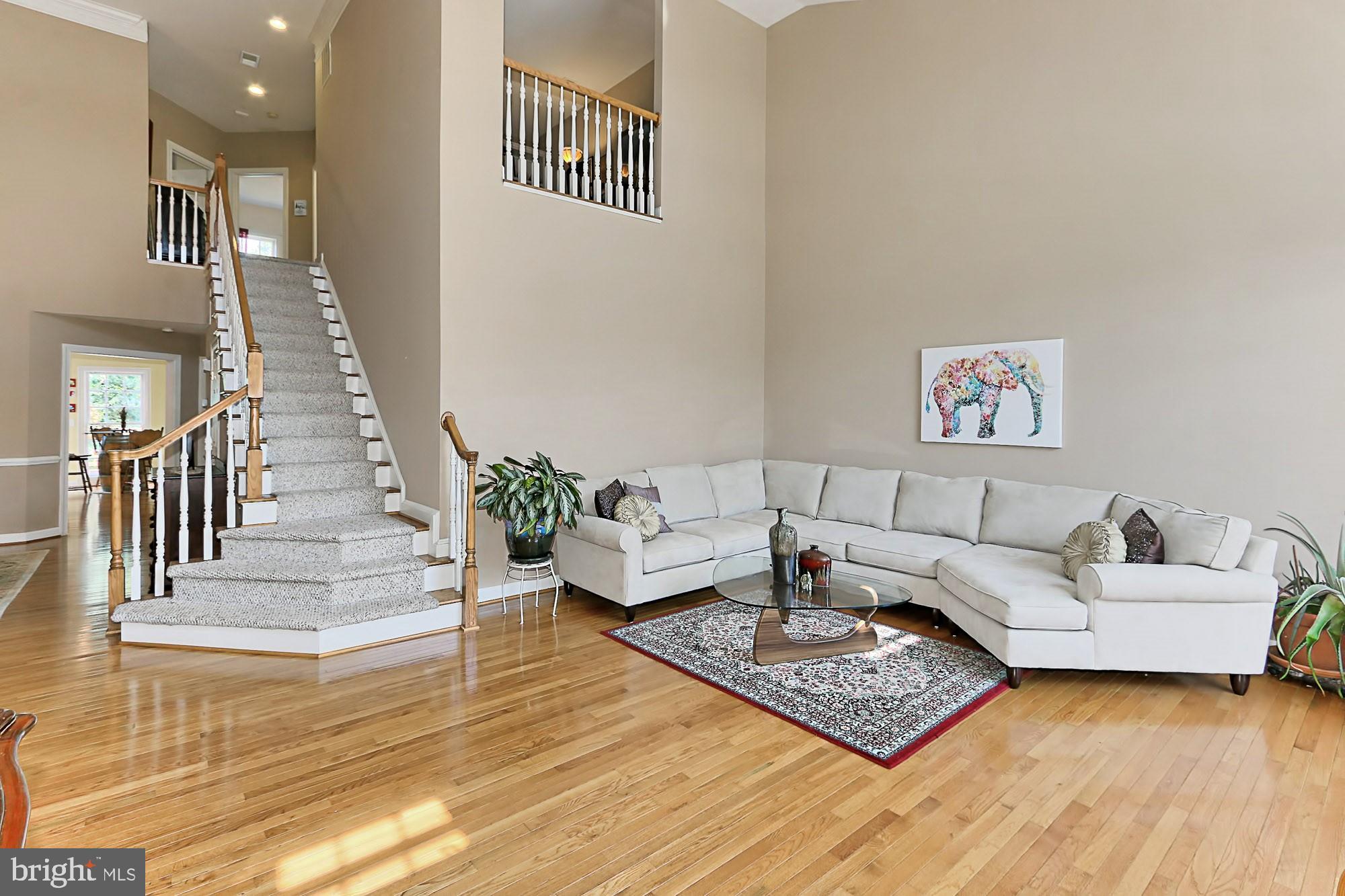 7357 Cluster House Way Gainesville, VA 20155 - Photo 7 of 46 Spectacular light-filled LR w/ 20'+ Ceilings