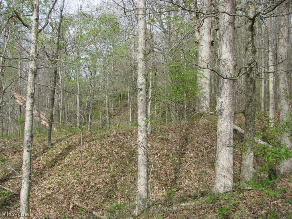 1767 Spruce Creek Road Auburn, WV 26325 - Photo 9 of 18