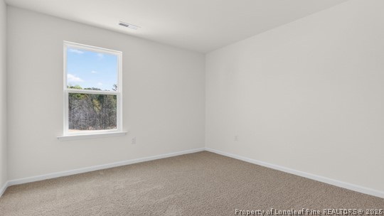 150 Rashford Avenue Raeford, NC 28376 - Photo 23 of 34 Bedroom