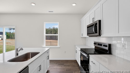 150 Rashford Avenue Raeford, NC 28376 - Photo 6 of 34 Kitchen